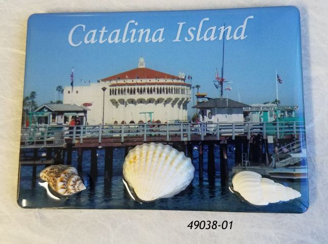 Catalina Island souvenir magnet with harbor scene photo and shells. 