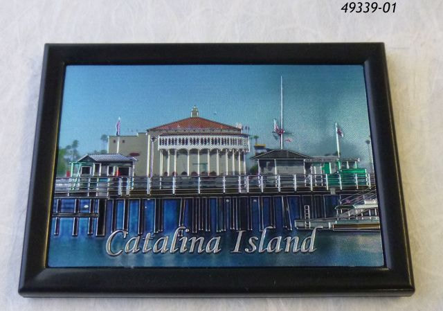 Catalina Island souvenir magnet.  Etched foil photo design and in a black frame. 