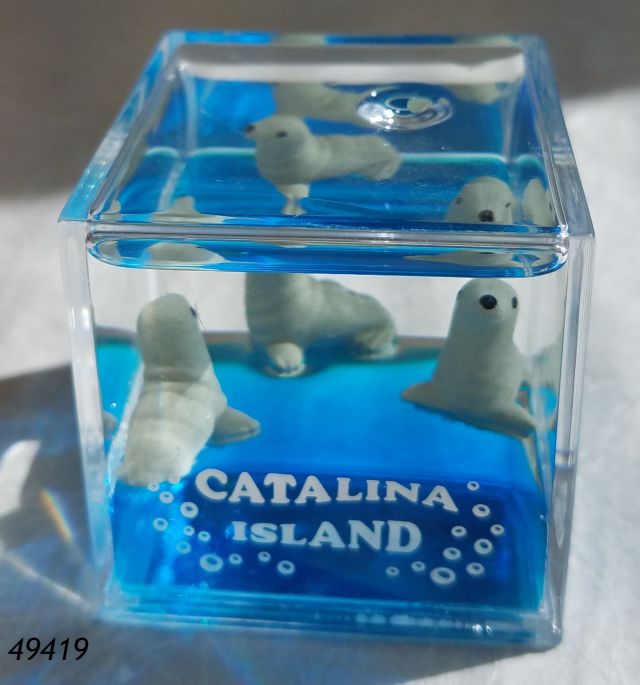 49419 Catalina Souvenir waterfill paperweight cube with floating sea lions